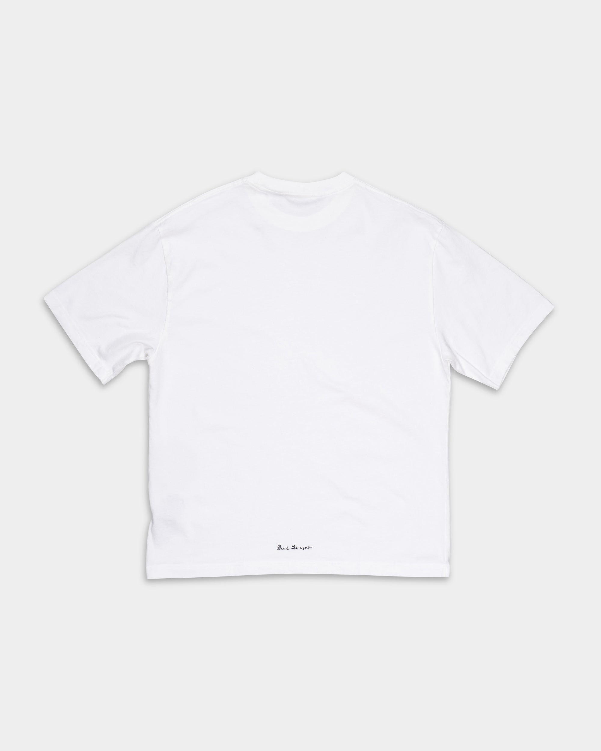 Axel Arigato Men's Flow T Shirt | A3933001-White