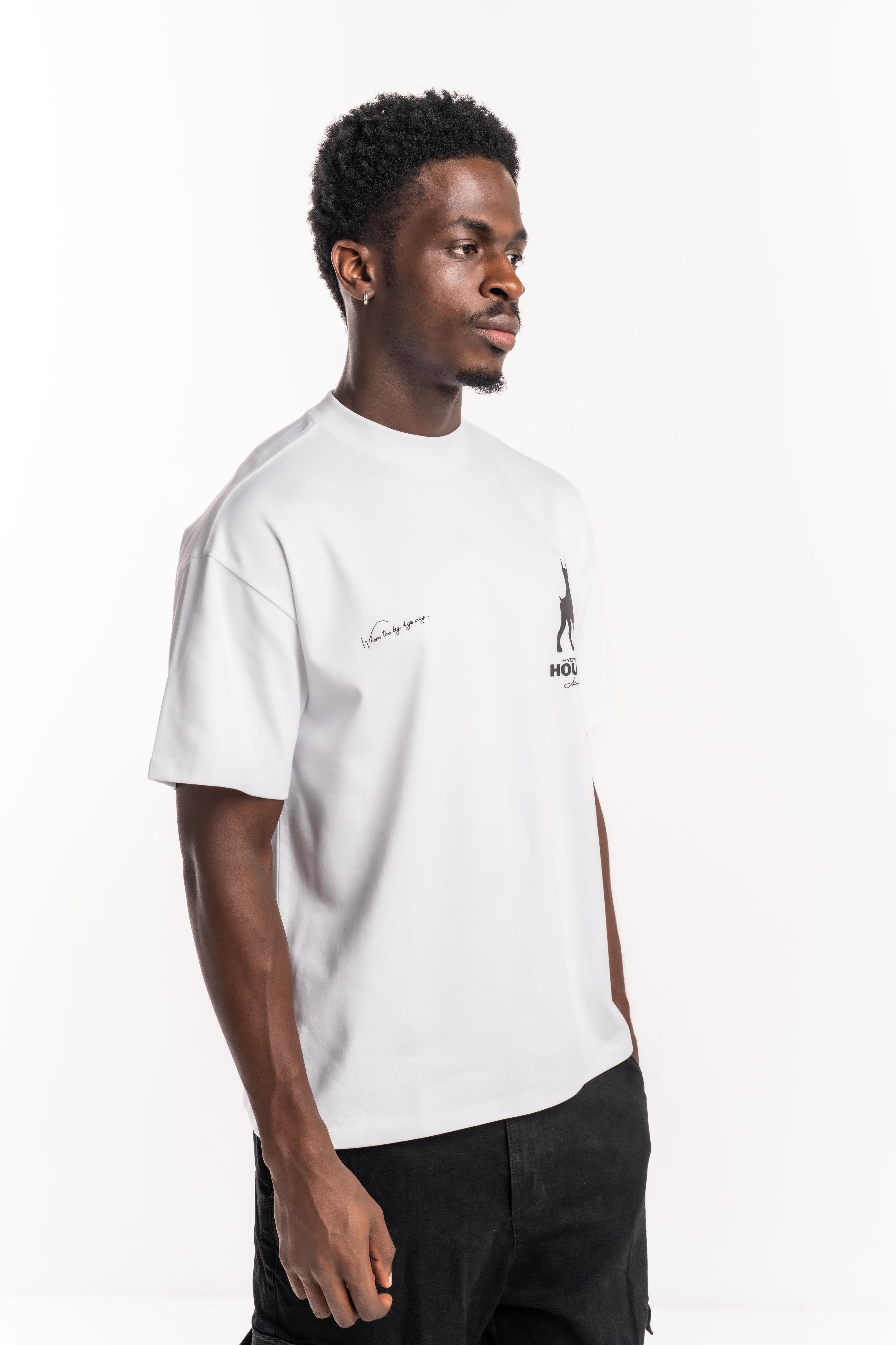 Hydraulics Oversized Hounds Doberman tee White AW25OST Hounds White