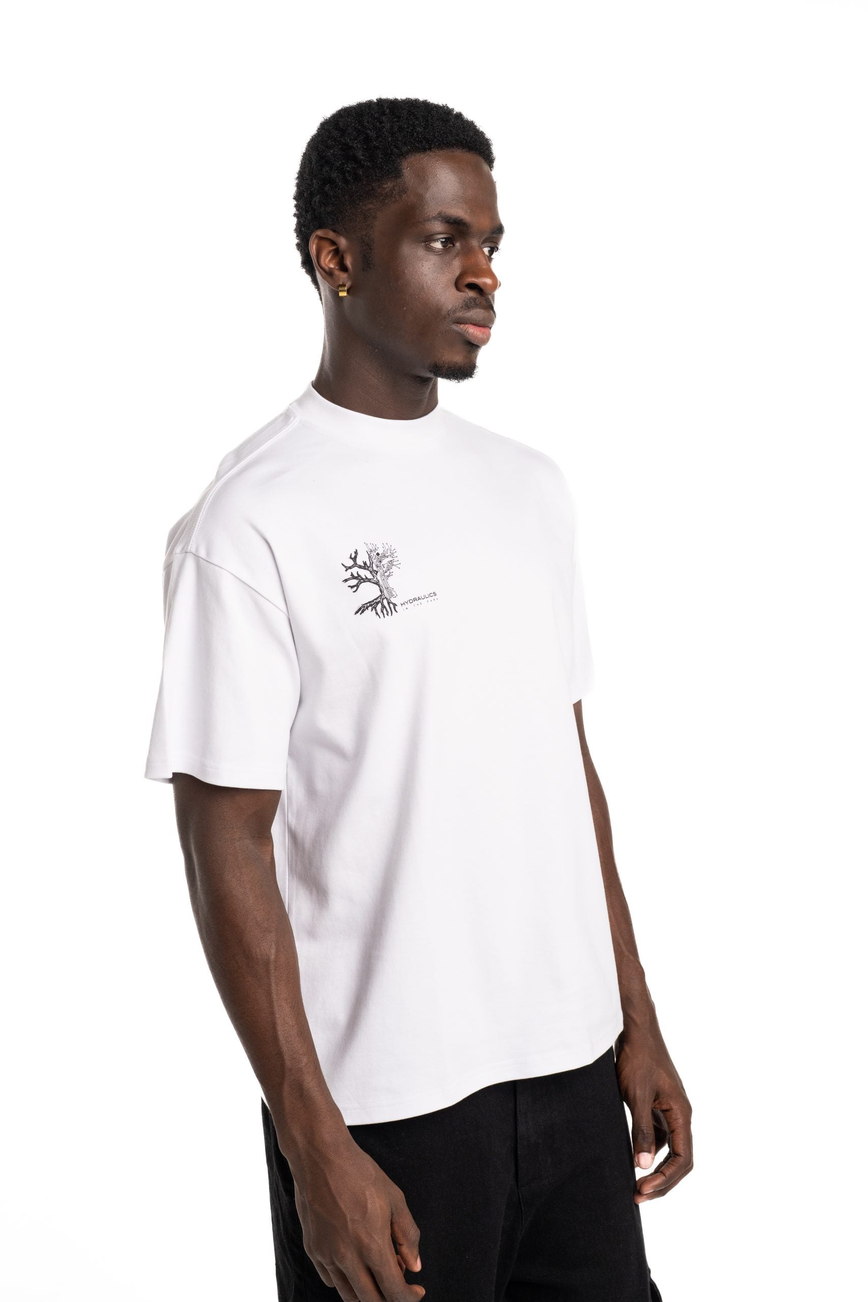 Hydraulics In The Park Oversized Fit T Shirt White