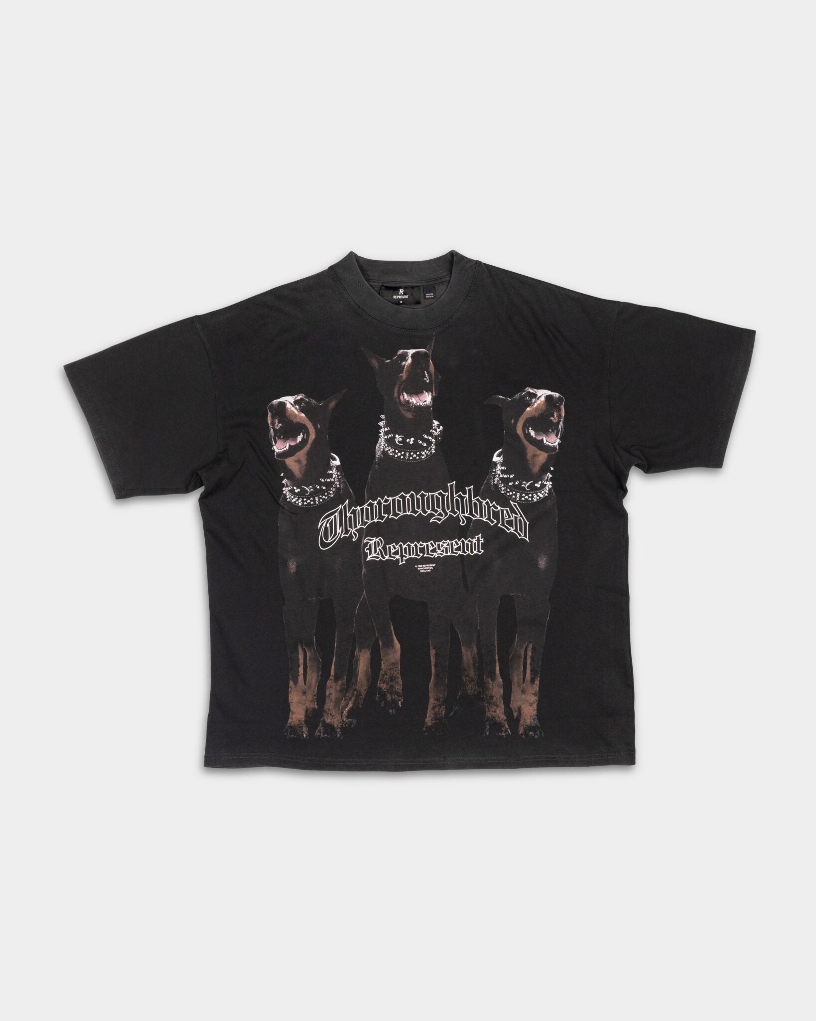 (Core) Represent Men's Thoroughbred T Shirt MLM41135-003 Vintage Black