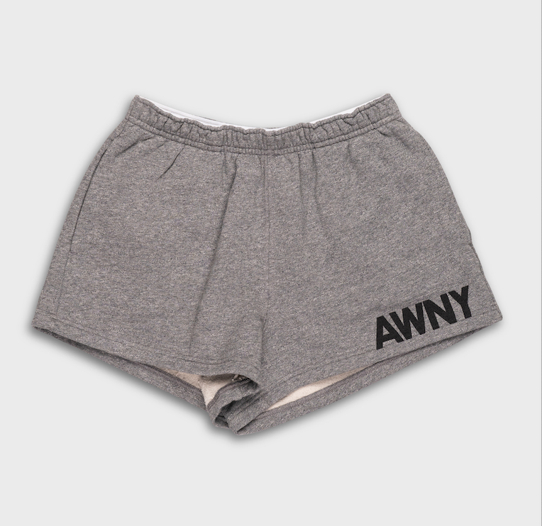 Alexander Wang Graphic Running Short Dark Heather Grey 4CC2254427 021